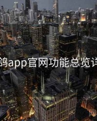 电鸽app官网功能总览详解
