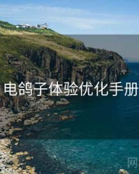 电鸽子体验优化手册