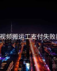 p站视频搬运工支付失败排查