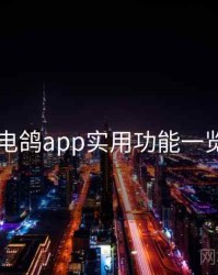 电鸽app实用功能一览