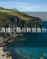 杏吧直播迁移与数据备份方案