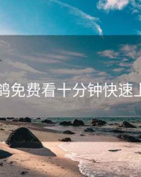 电鸽免费看十分钟快速上手