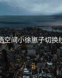 秘语空间小徐崽子切换线路