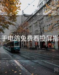 关于电鸽免费看投屏指南