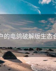 面向用户的电鸽破解版生态合作观察