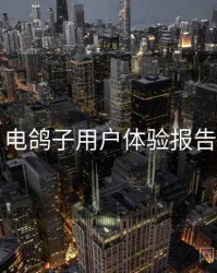 电鸽子用户体验报告