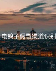 电鸽子假冒渠道识别