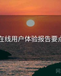 电鸽在线用户体验报告要点整理