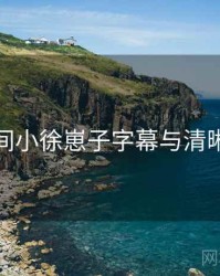 秘语空间小徐崽子字幕与清晰度指南