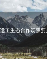 p站搬运工生态合作观察要点整理