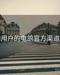 面向用户的电鸽官方渠道核验