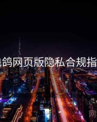 电鸽网页版隐私合规指南