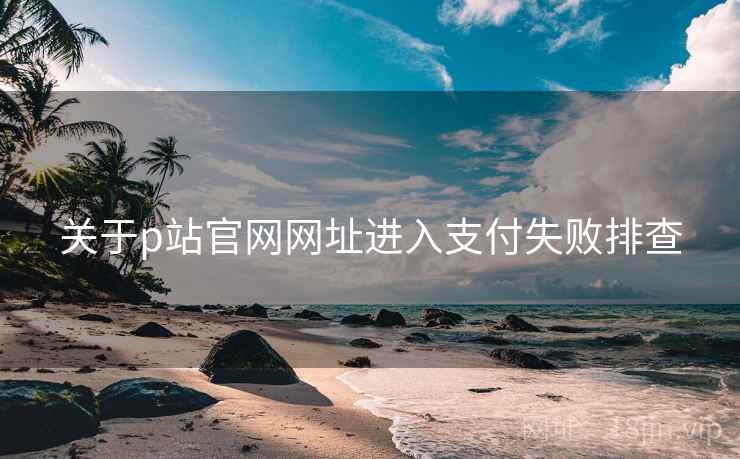 关于p站官网网址进入支付失败排查