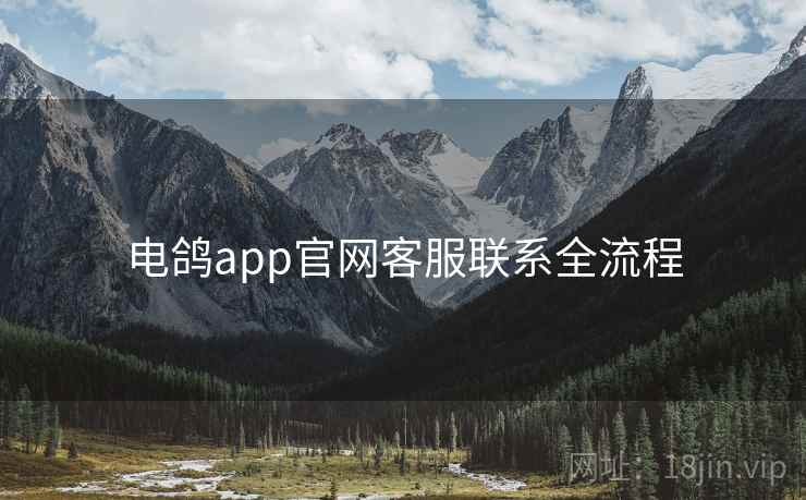 电鸽app官网客服联系全流程