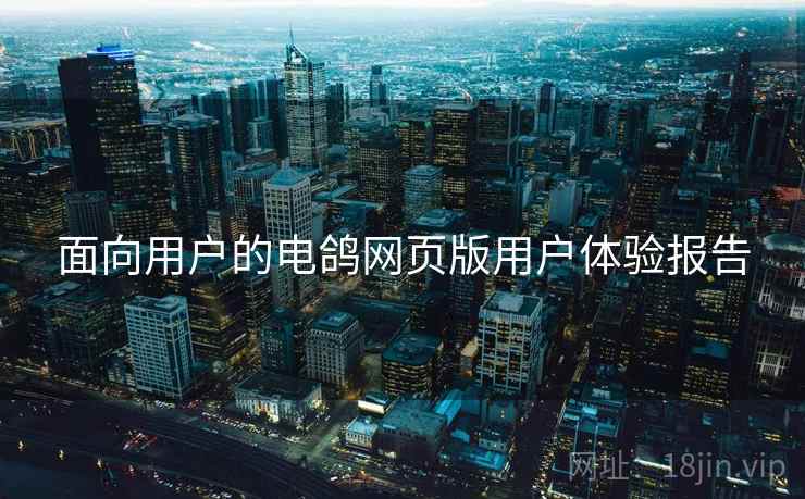 面向用户的电鸽网页版用户体验报告