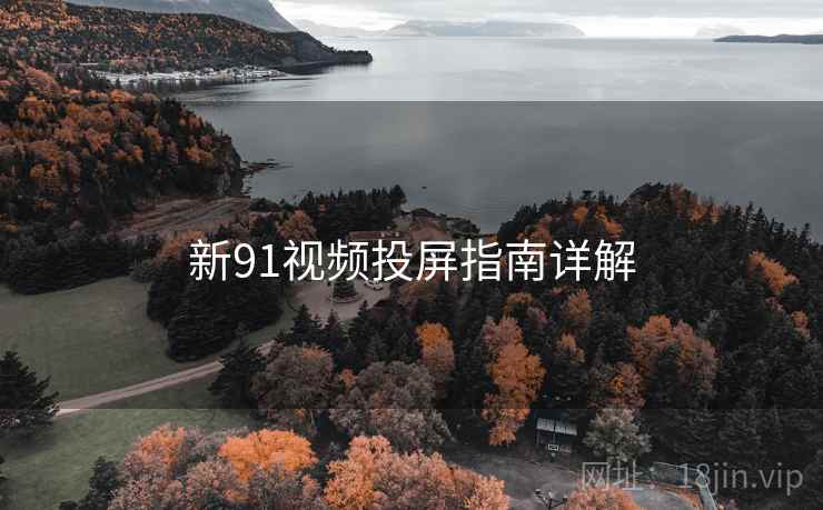 新91视频投屏指南详解
