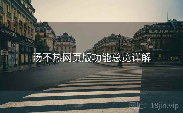 汤不热网页版功能总览详解