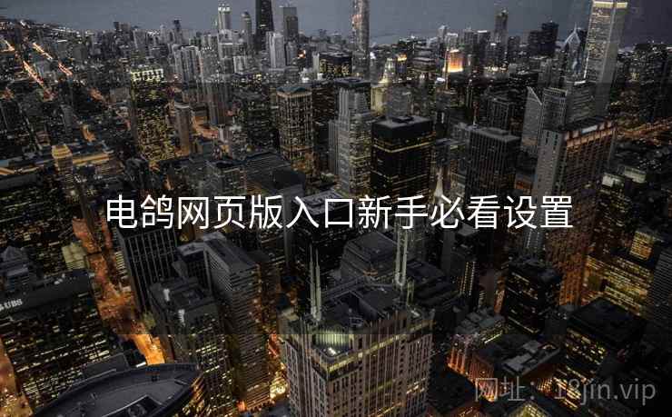 电鸽网页版入口新手必看设置