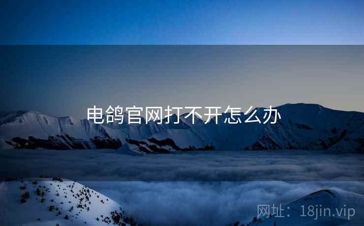 电鸽官网打不开怎么办
