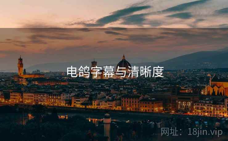 电鸽字幕与清晰度