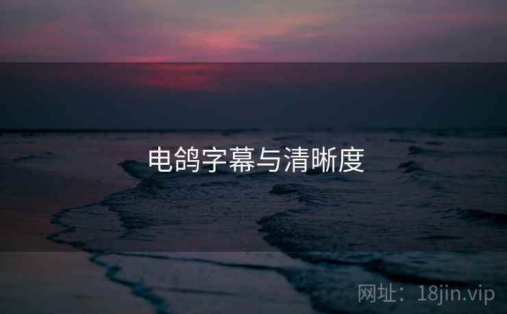 电鸽字幕与清晰度