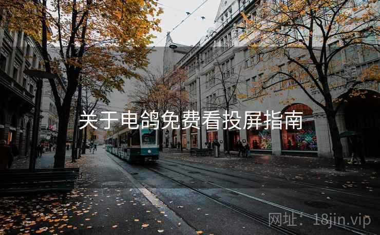 关于电鸽免费看投屏指南