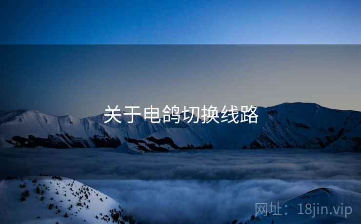 关于电鸽切换线路