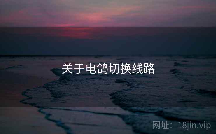 关于电鸽切换线路