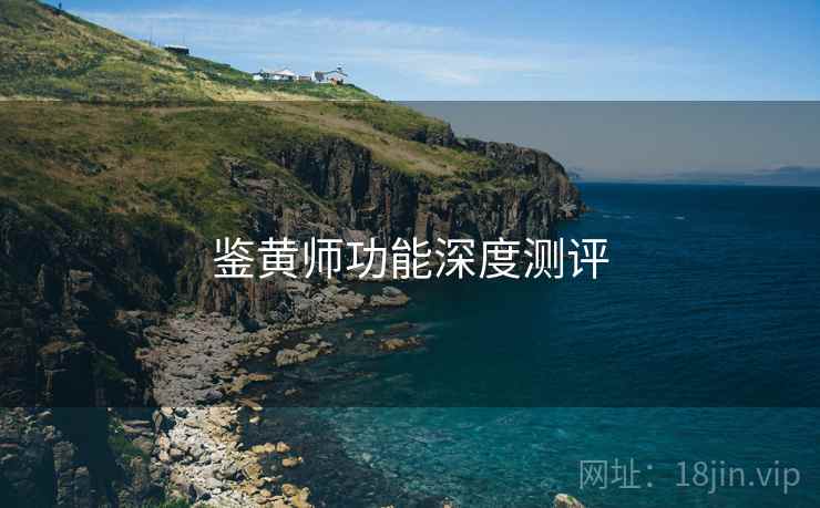 鉴黄师功能深度测评