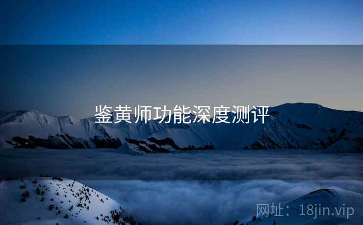 鉴黄师功能深度测评