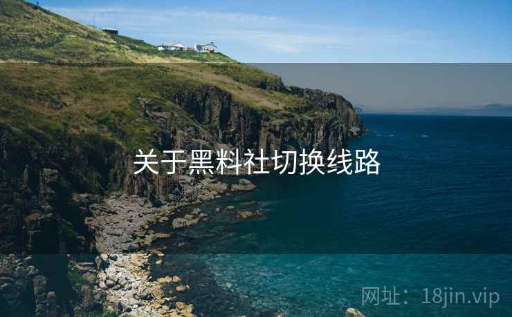 关于黑料社切换线路