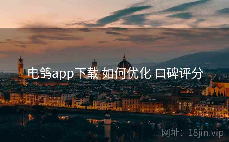 电鸽app下载 如何优化 口碑评分
