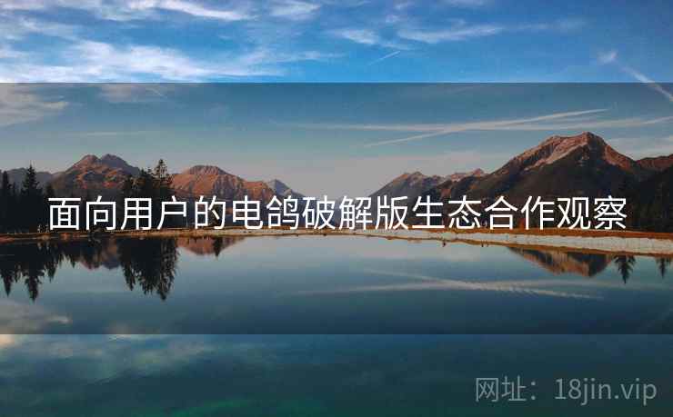 面向用户的电鸽破解版生态合作观察
