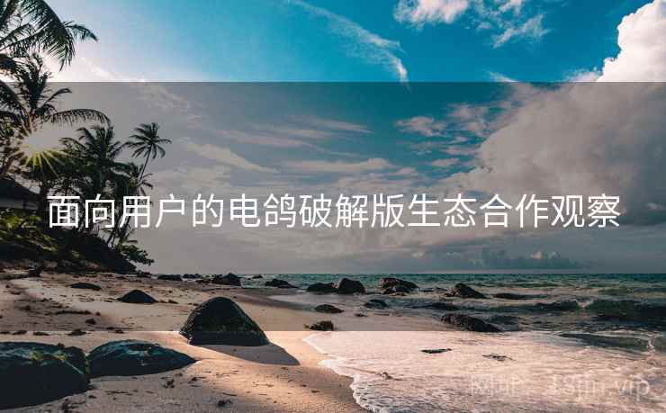 面向用户的电鸽破解版生态合作观察