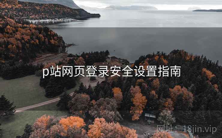 p站网页登录安全设置指南
