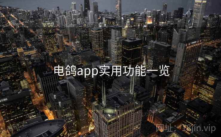 电鸽app实用功能一览
