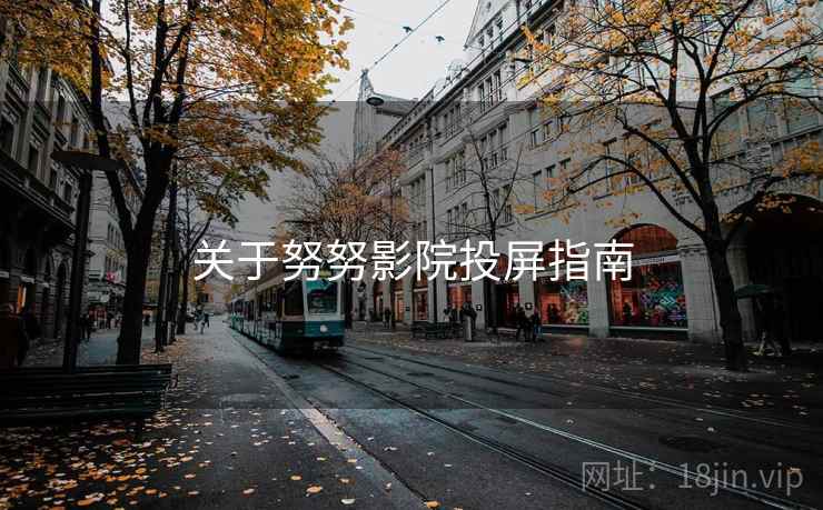 关于努努影院投屏指南