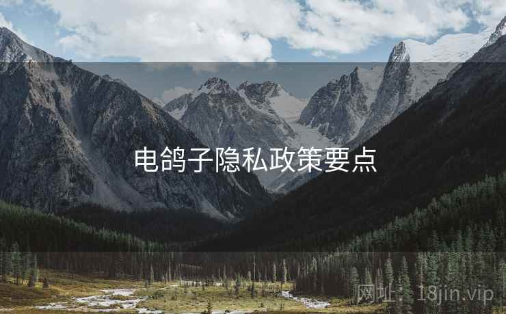 电鸽子隐私政策要点