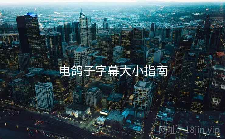 电鸽子字幕大小指南