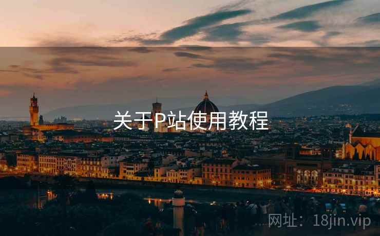 关于P站使用教程