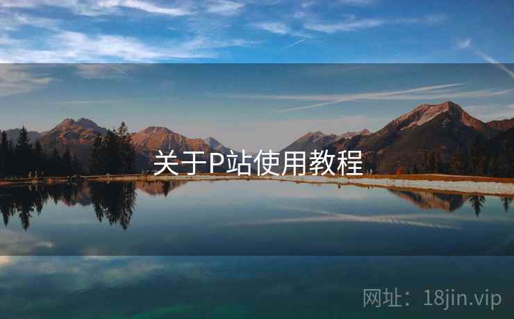 关于P站使用教程