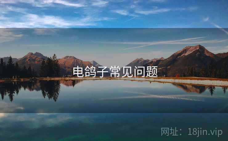 电鸽子常见问题