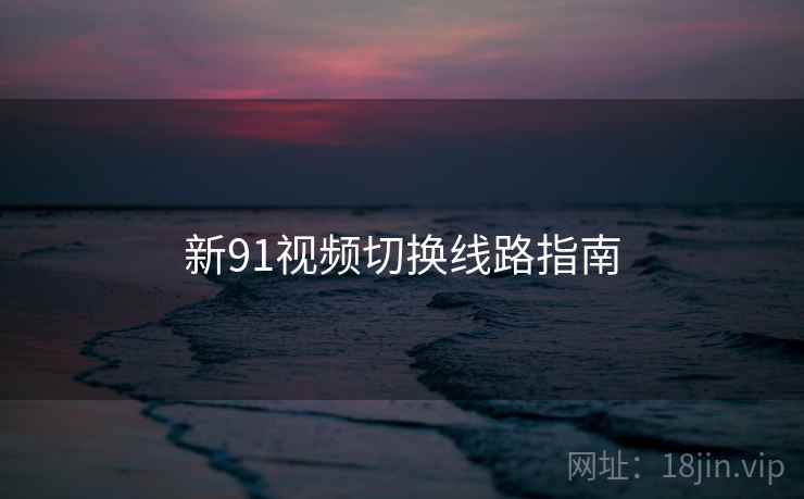 新91视频切换线路指南