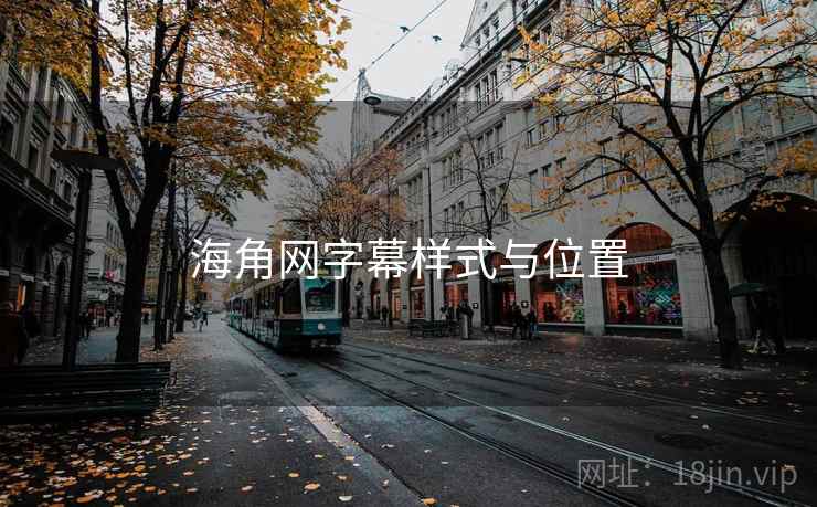 海角网字幕样式与位置
