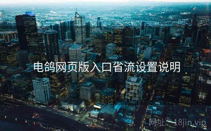电鸽网页版入口省流设置说明