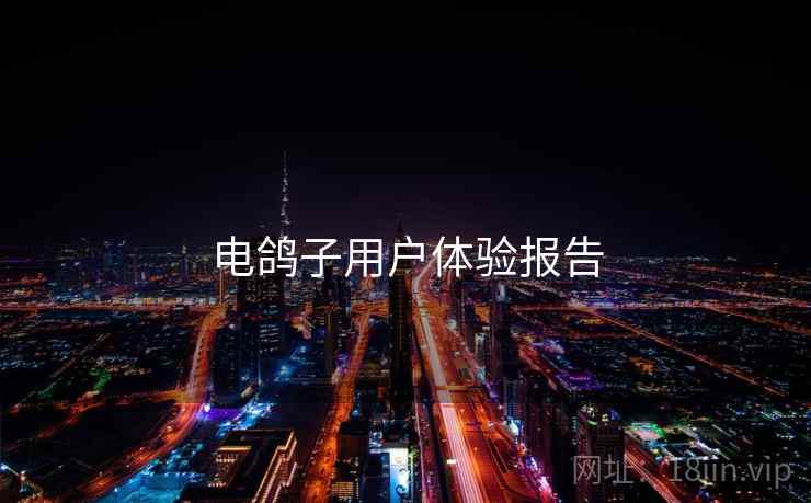 电鸽子用户体验报告