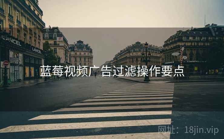 蓝莓视频广告过滤操作要点