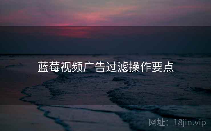 蓝莓视频广告过滤操作要点