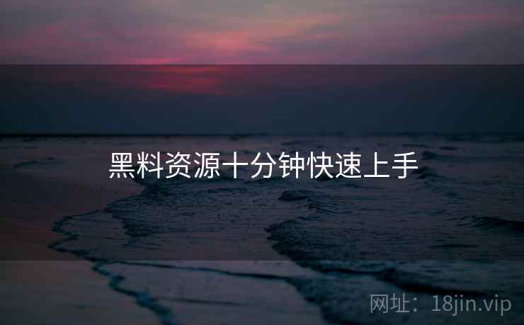 黑料资源十分钟快速上手