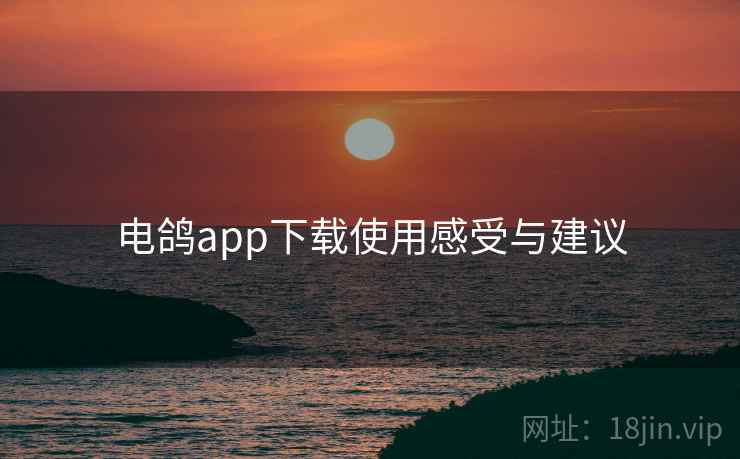 电鸽app下载使用感受与建议